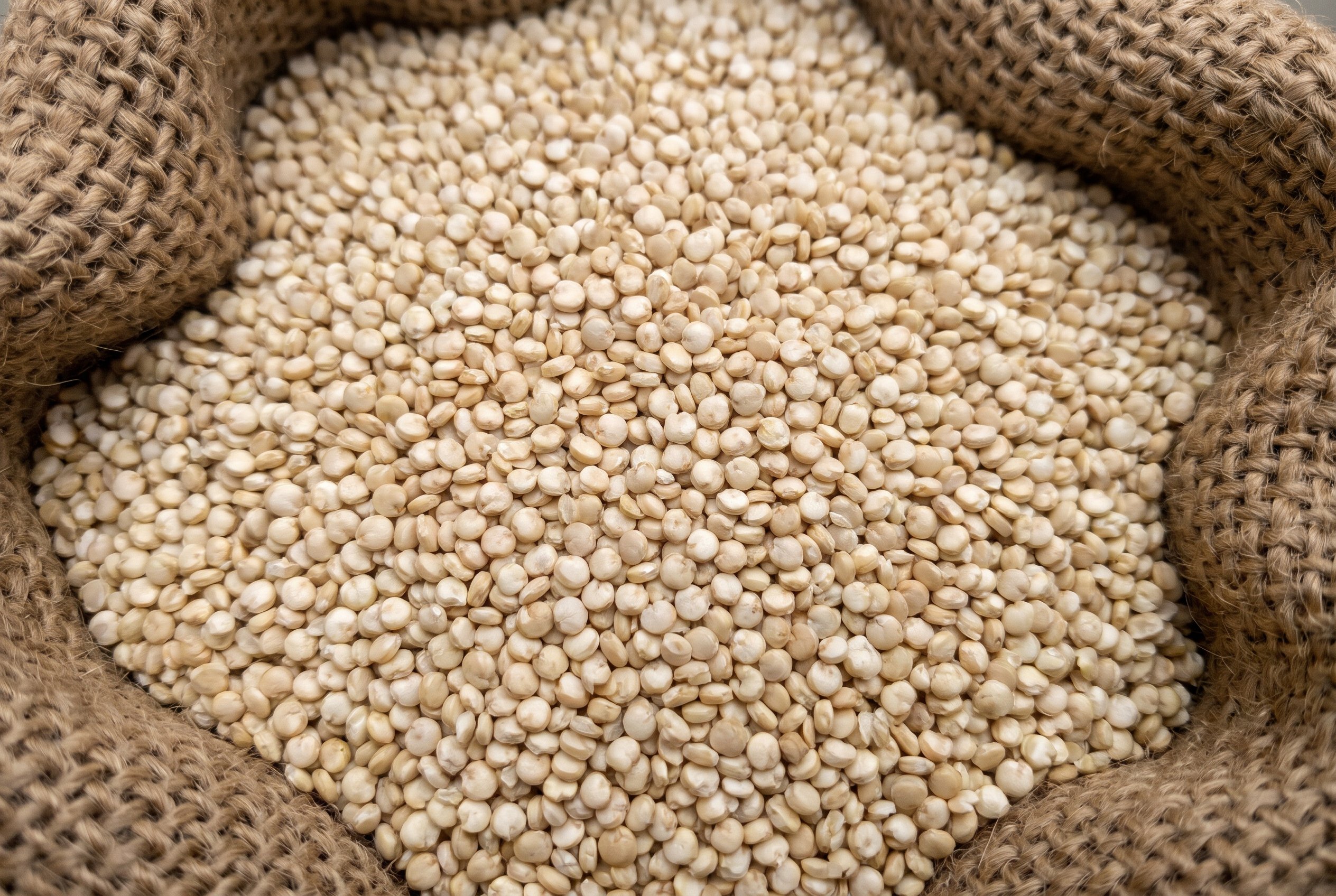 Illustrative image: white quinoa seeds in a jute sack